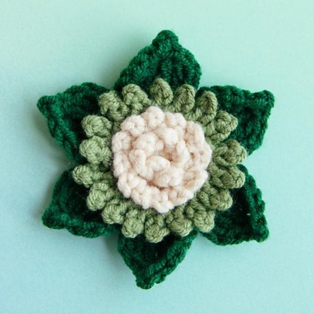 Forest Succulent