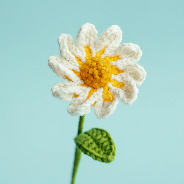 Chamomile Daisy Flower