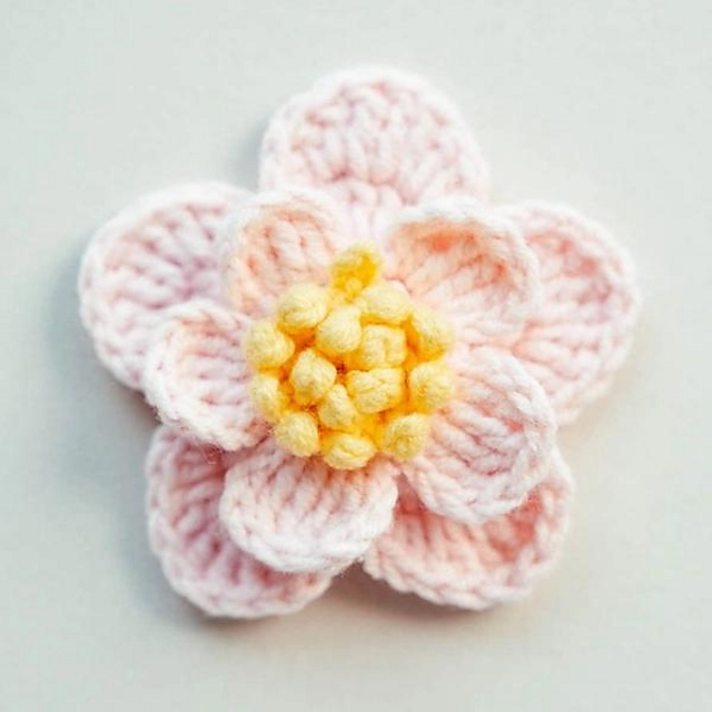 Cherry Blossom