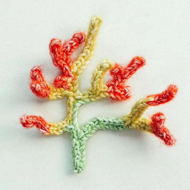 Branch Coral