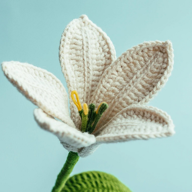 Lily Flower