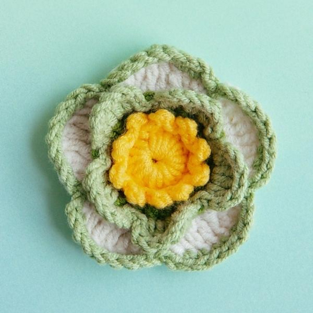 Primrose Flower