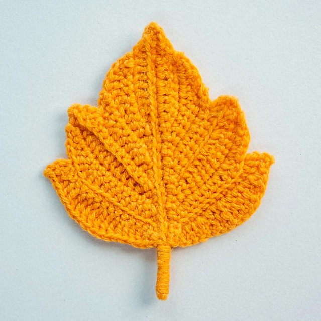 Sycamore Leaf