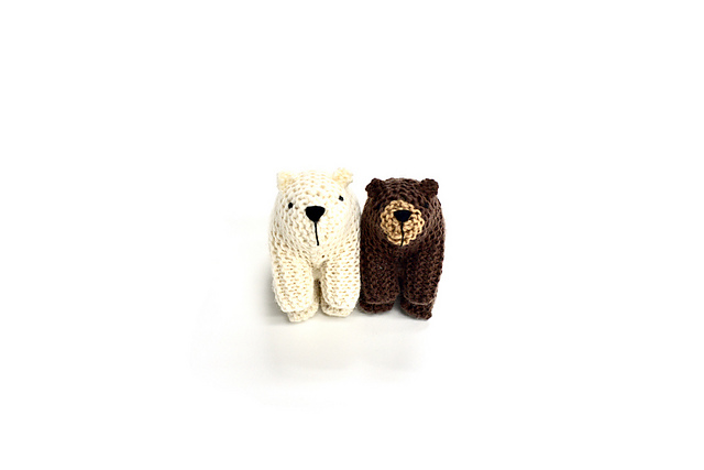 Brown Bear + Polar Bear