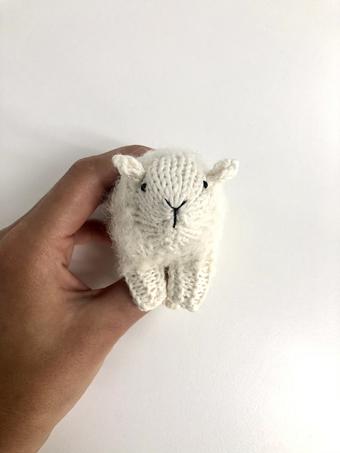 Sheep