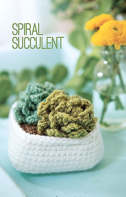 Spiral Succulent