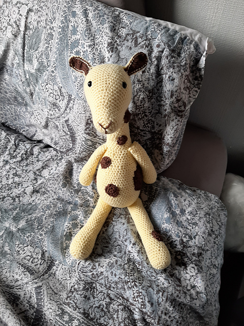 Nova the Giraffe