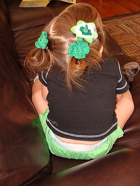 Irish Baby Clover