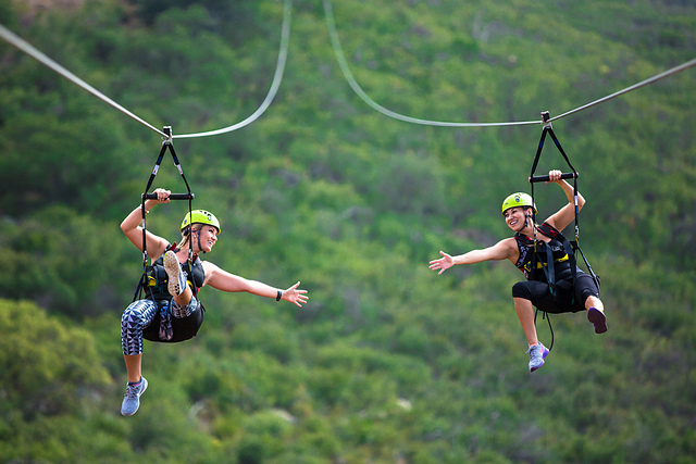 Zip Line Socks