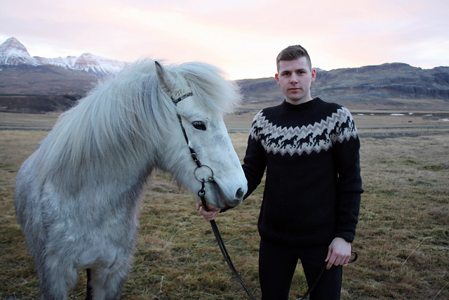 Ljómi horse sweater
