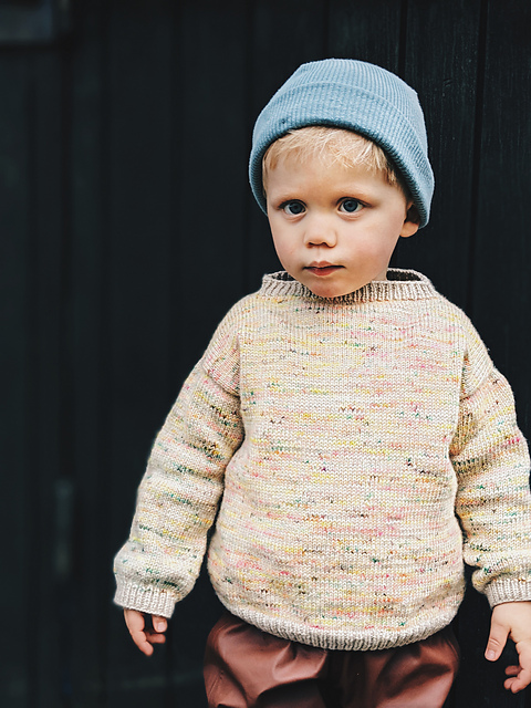 Billes sweater - multi