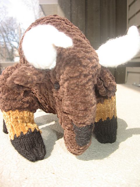 Bison