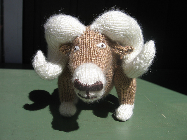 Rocky Mountain Big Horn Sheep