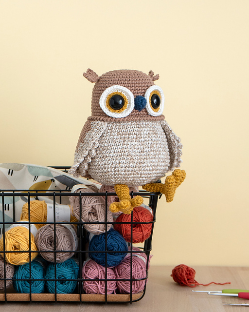 Button the Saw-Whet Owl
