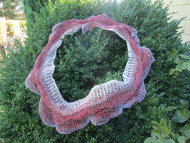 Parva Cellulas Shawl