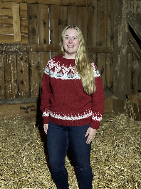 Loftnisse genser voksen