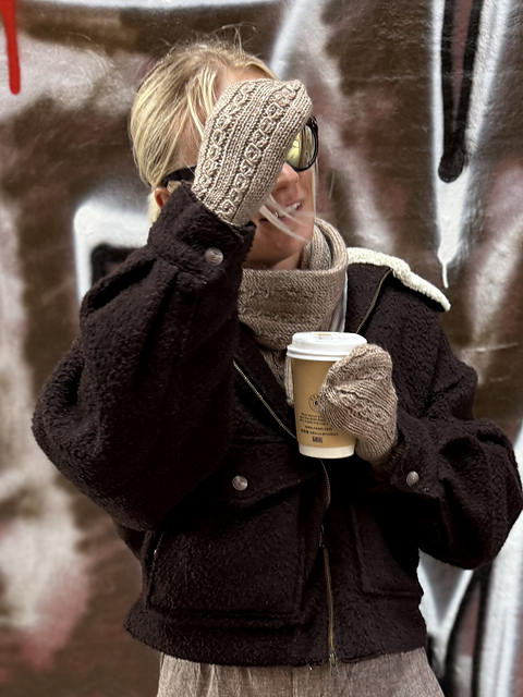 Lacy Cable Companion Mittens