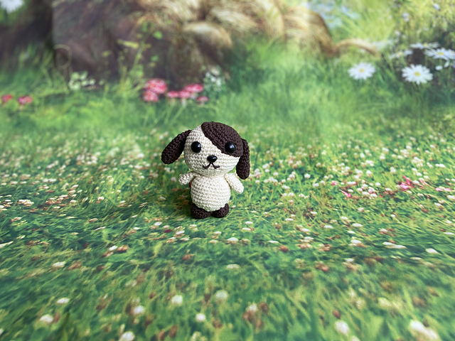 Little dog