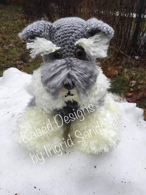 Milo the Schnauzer
