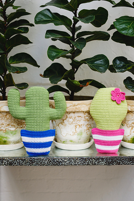 Cacti Cushions