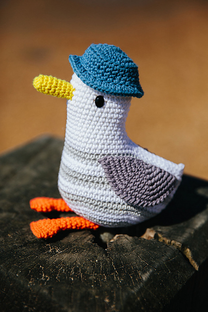 Cheeky Seagull
