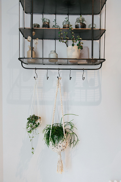 Cotton Plant Hanger