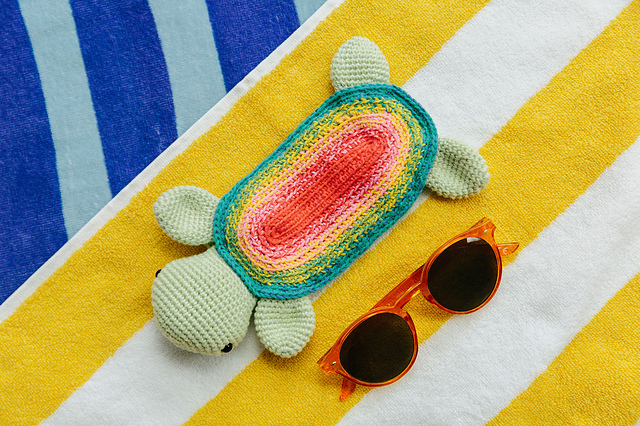Turtle Sunglasses Case