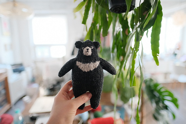 Asian black bear (Moon bear)