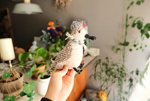 Spoon-billed sandpiper Bird