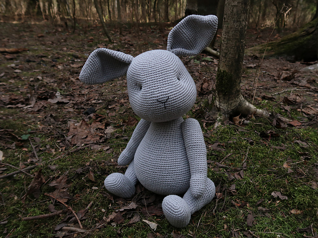 Teddy Bunny Rabbits