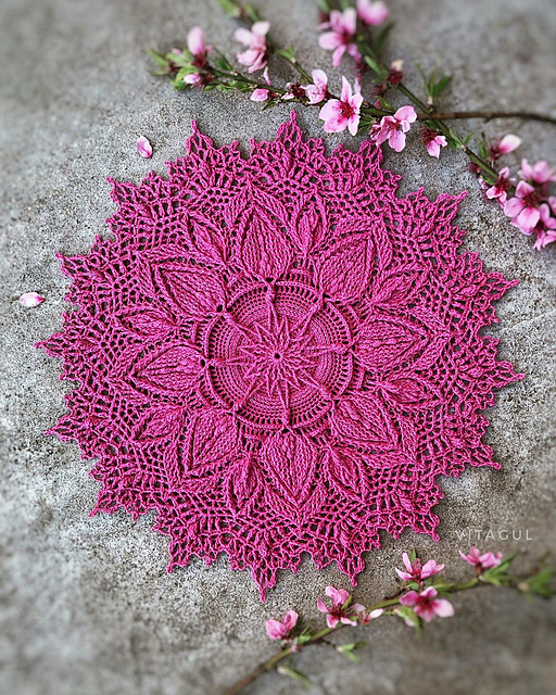 Bloom