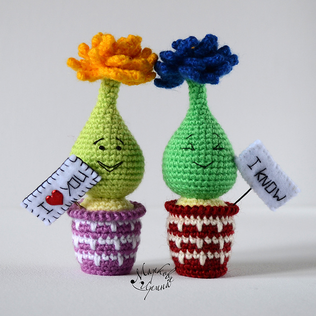 Little cactus in pot
