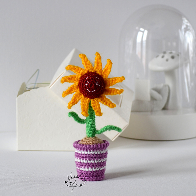 Sunflower in pot