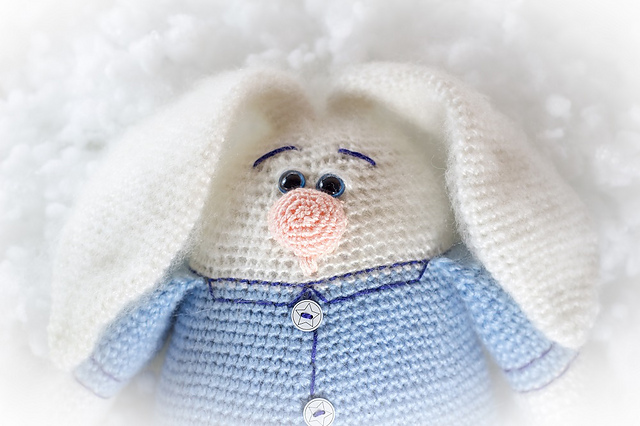 Bunny