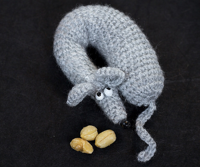 Rat