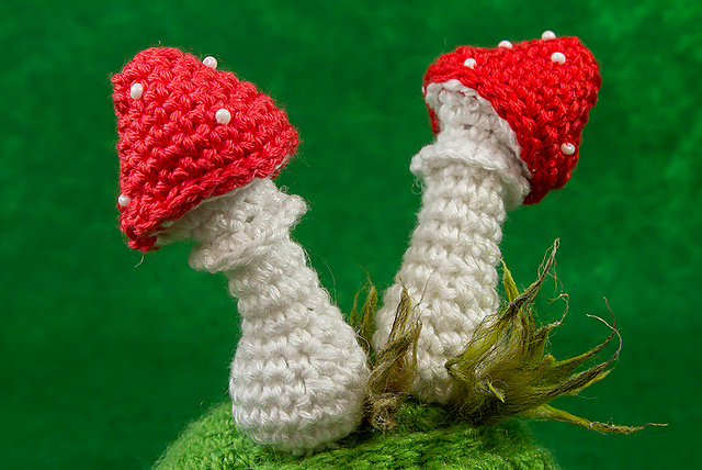 Mushroom Amanita