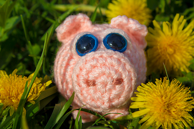 Little Piggy