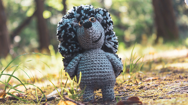 Hedgehog