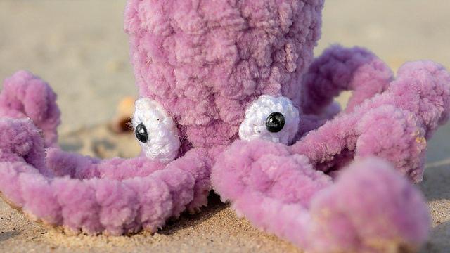 Octopus