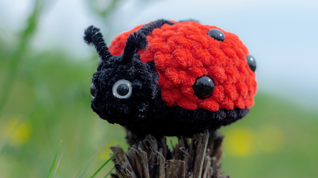 Ladybug