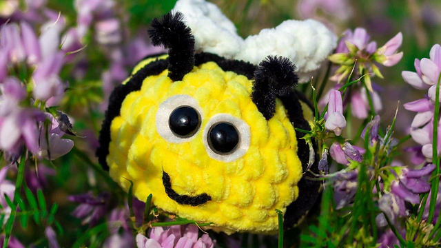 Bee