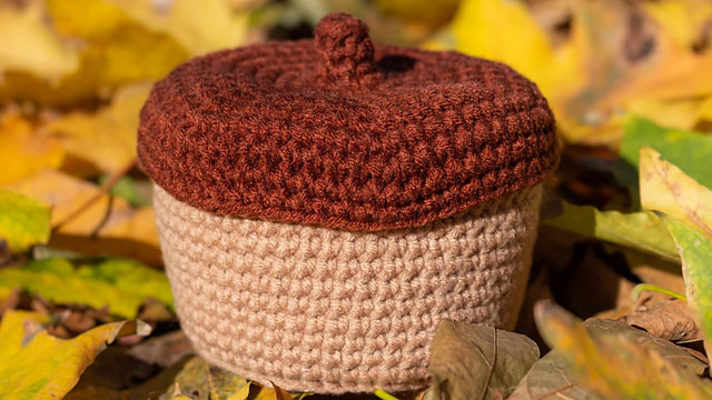Acorn Box