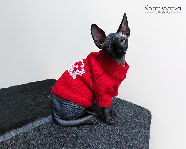 Kitten Sweater Princess With Crown