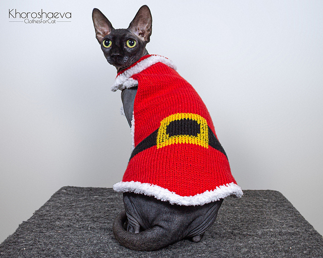 Christmas cape for cat