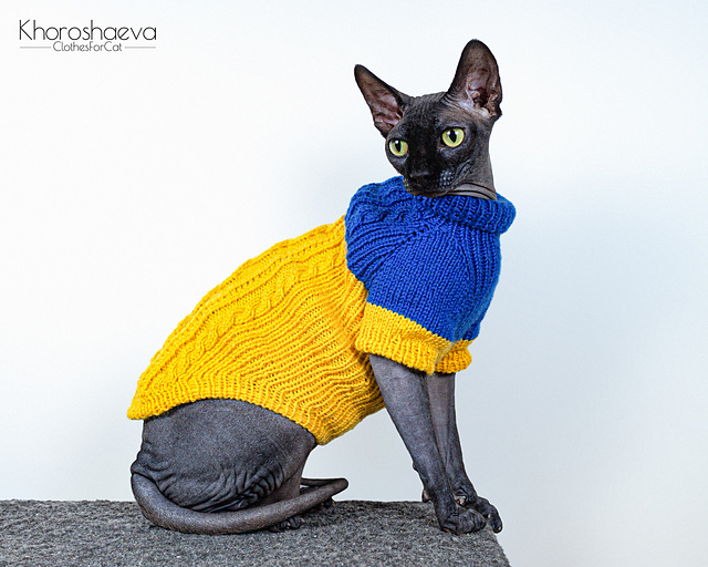 Sphynx Cozy Jumper