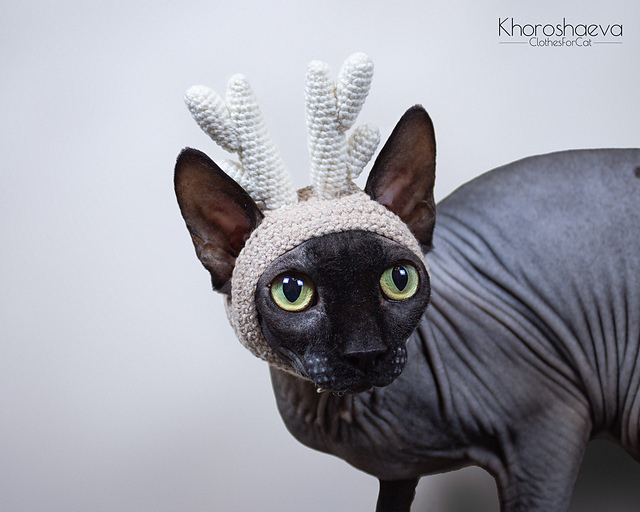 Hat with Deer Horns for cat