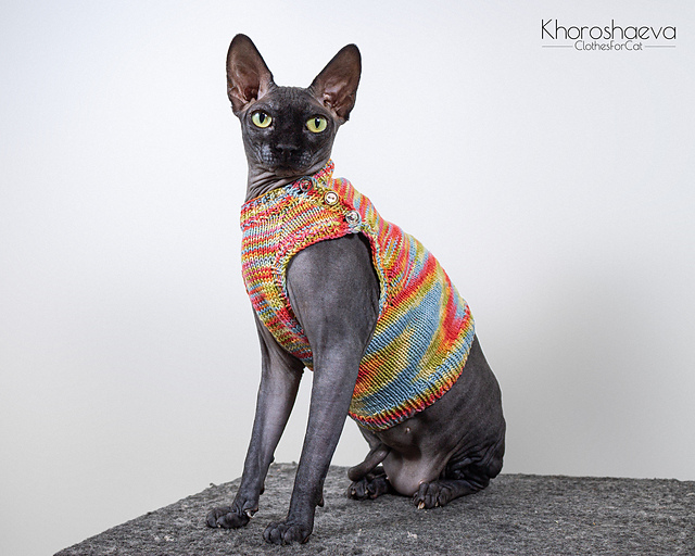 Cat Summer Shirt