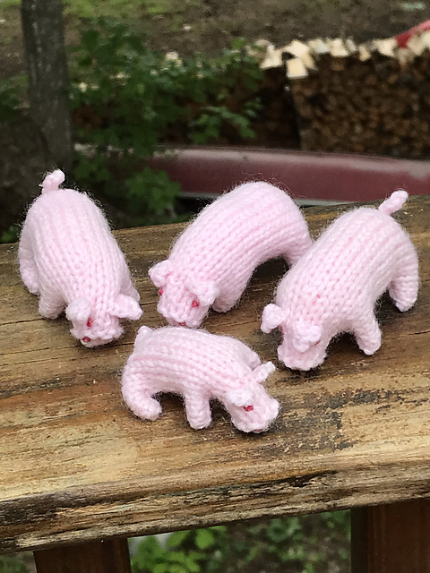 Pig