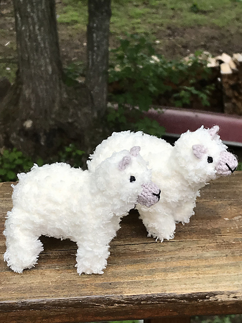 Alpaca