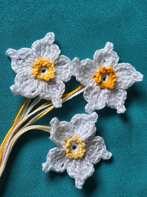Daffodil flower